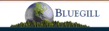 Bluegill Energy Management