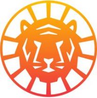 Tiger Solar Review 2023 - The Residential View